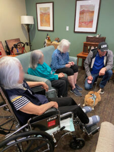 orange hospice pet therapy cat rainn